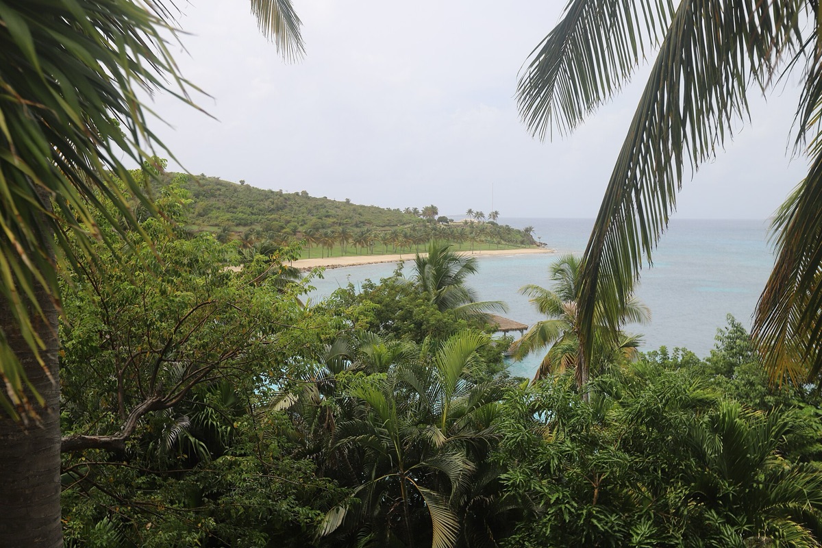 Playa tropical con palmeras