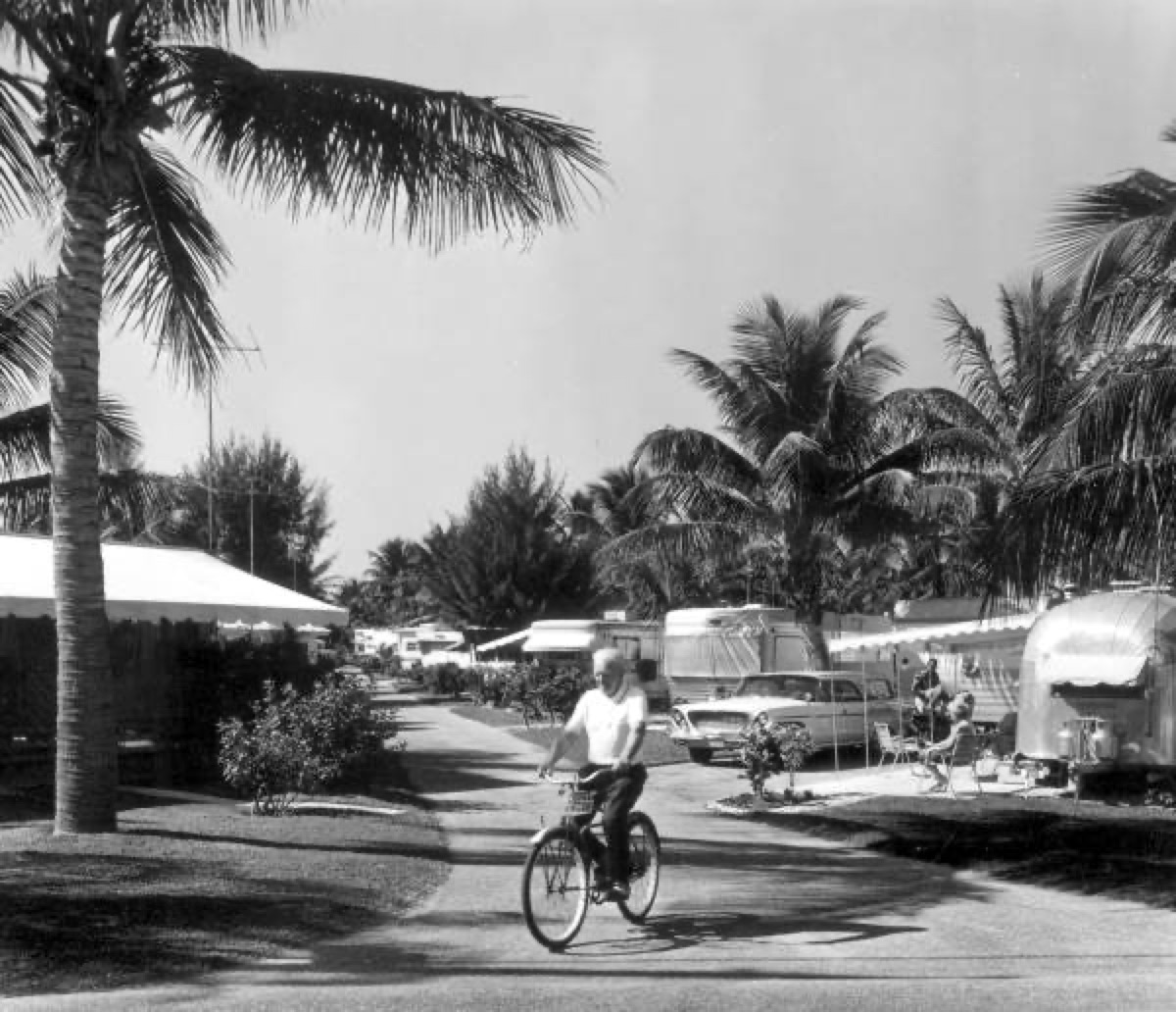 Plage avec des palmiers