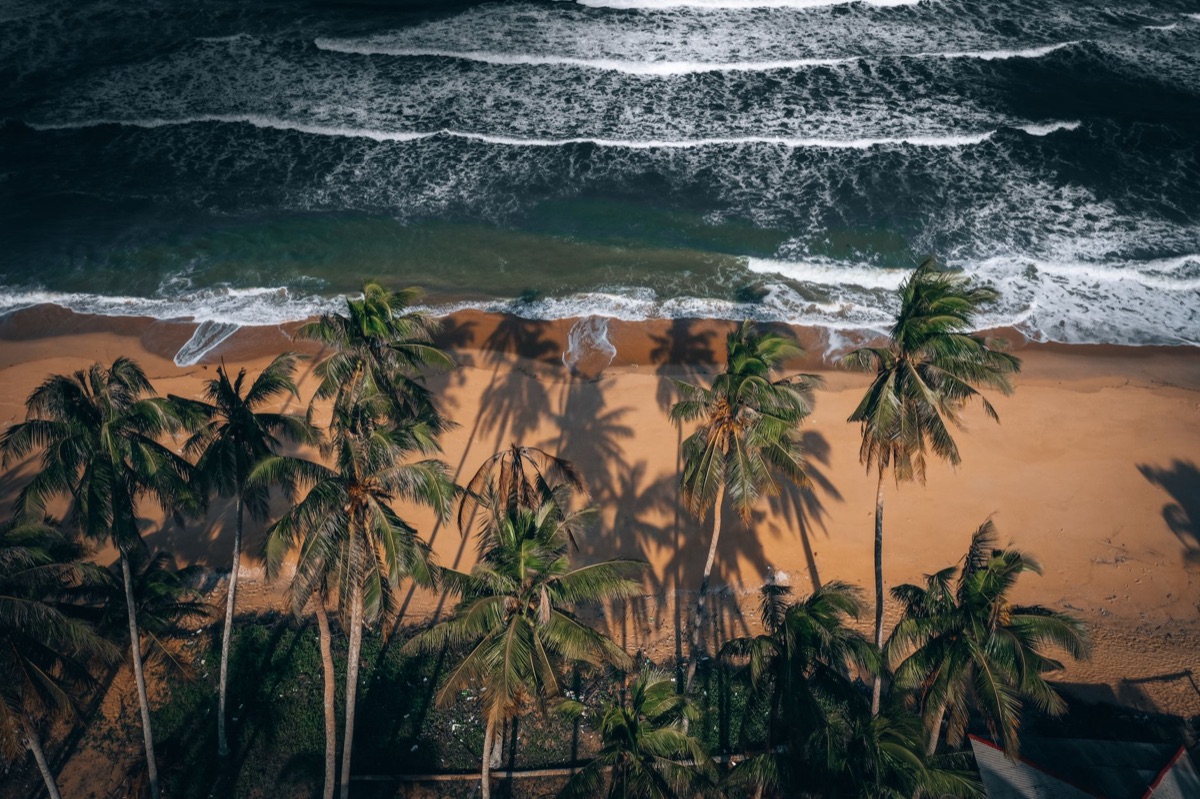 Areia de Phuket com árvores de palmeira
