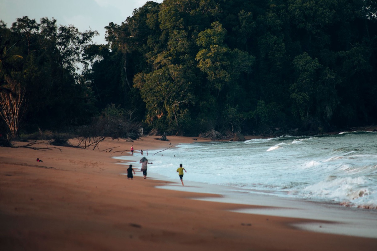 Kinder spielen auf einer Insel