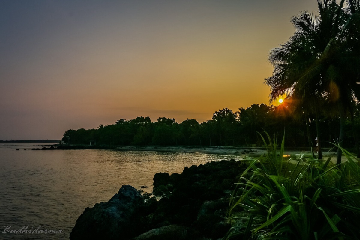 Plage tropicale à l'aube