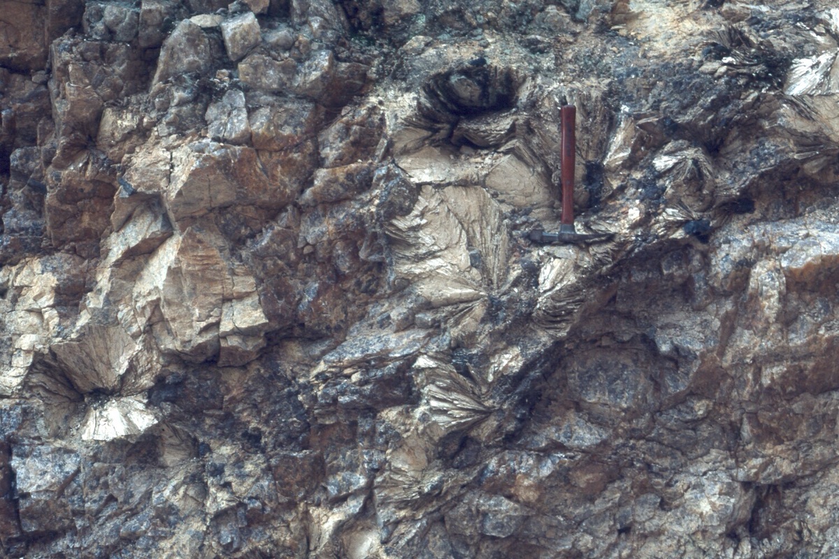 當地居民手持管子，展現管子生活風格的日常與親近感