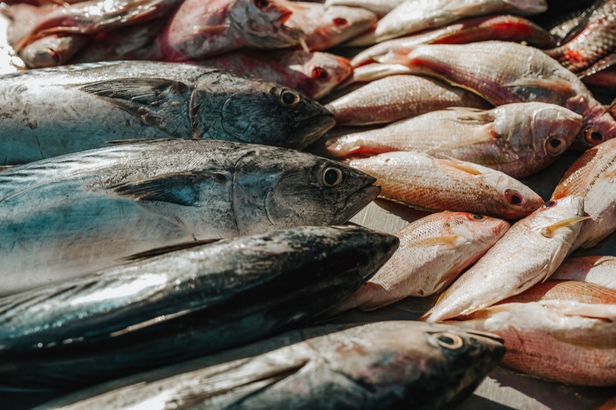 Similan Local: fish market with fresh seafood