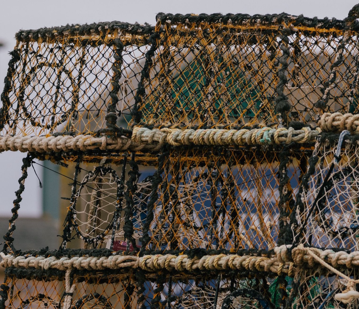 Close-up of a traditional Siamese fisherman's net with fresh seafood