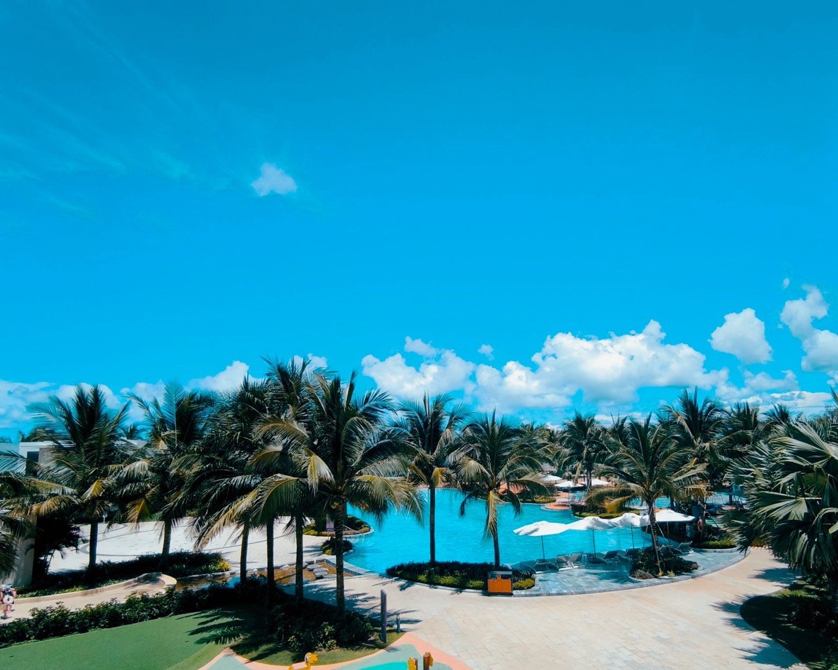 Vue d'un grand espace tropical